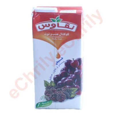 Cocktail raisin mûre Ngaous 1L, saveur naturelle et intense. Commandez en ligne sur eChrily avec livraison à domicile en Algérie.